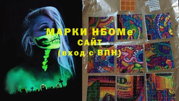шишки Заволжск