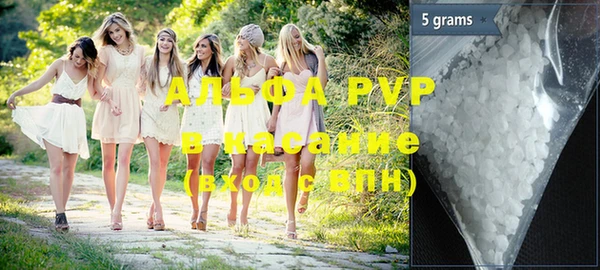 шишки Заволжск