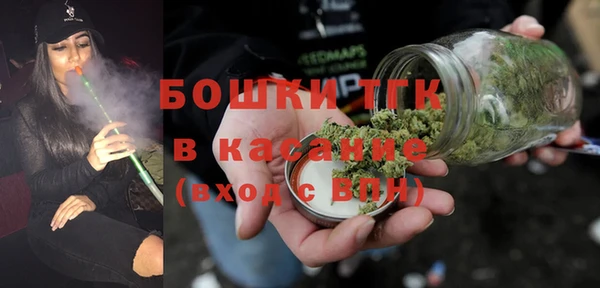 шишки Заволжск