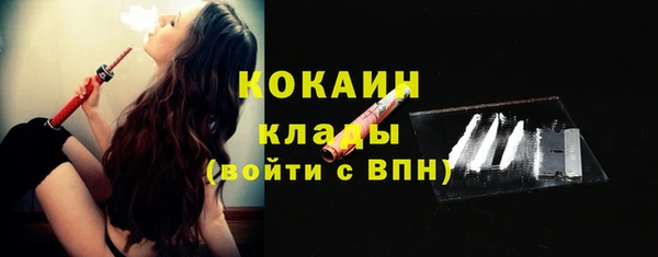 шишки Заволжск