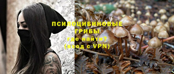 амф Заволжье