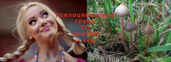 бутират Заводоуковск