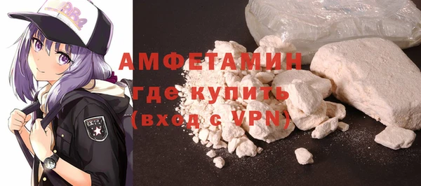 шишки Заволжск