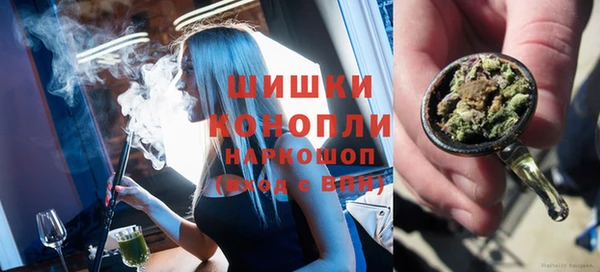 шишки Заволжск